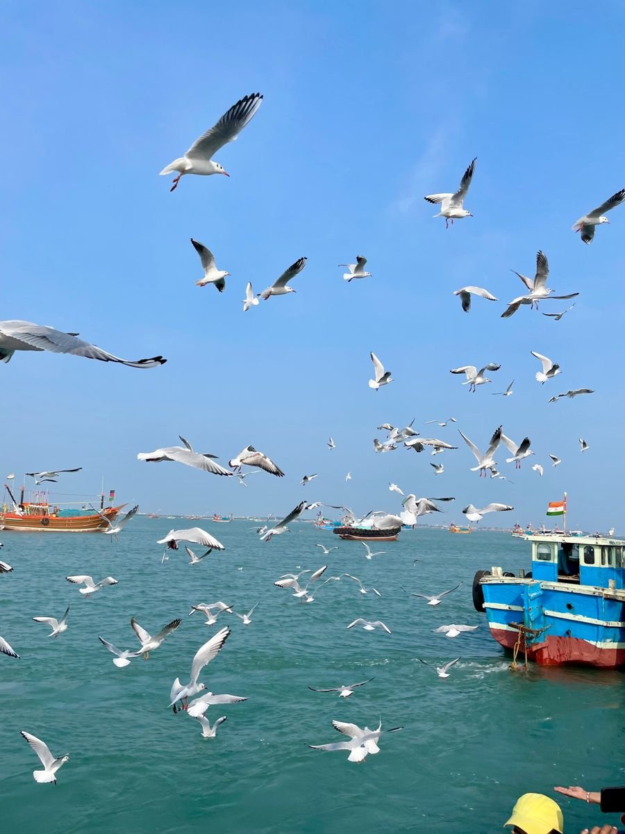 Chilika Lake