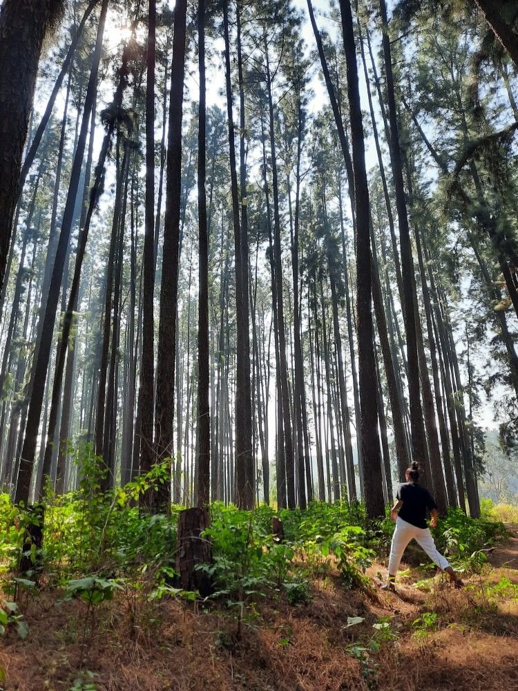 Daringbadi